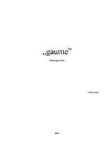 Biznesa plāns 'SIA "LA gaume"', 1.