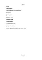 Biznesa plāns 'SIA "LA gaume"', 2.