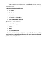 Biznesa plāns 'SIA "LA gaume"', 5.