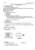 Konspekts 'Lipīdi - tauki un taukiem līdzīgas vielas', 1.