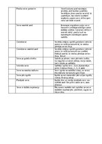 Konspekts 'Volejbola augšējā serve', 6.