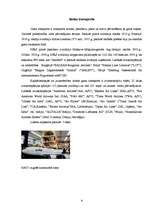 Referāts 'Transporta attīstības vēsture', 8.