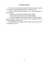 Referāts 'Transporta attīstības vēsture', 10.