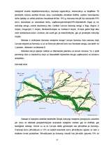 Referāts 'Transporta attīstības vēsture', 13.