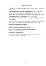 Referāts 'Transporta attīstības vēsture', 26.