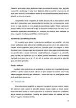 Referāts 'Biznesa plāns jeb uzņēmējdarbības pamatojums', 10.