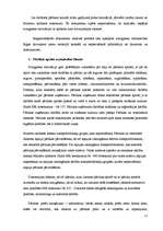 Referāts 'Biznesa plāns jeb uzņēmējdarbības pamatojums', 11.