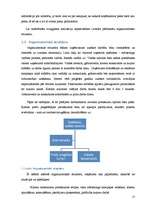 Referāts 'Biznesa plāns jeb uzņēmējdarbības pamatojums', 17.