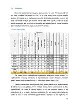 Referāts 'Biznesa plāns jeb uzņēmējdarbības pamatojums', 19.