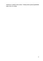 Referāts 'Biznesa plāns jeb uzņēmējdarbības pamatojums', 20.