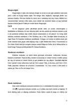 Referāts 'Austrumu reliģija kultūras vēsturē', 13.