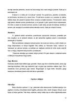 Referāts 'Austrumu reliģija kultūras vēsturē', 14.