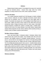 Referāts 'Austrumu reliģija kultūras vēsturē', 16.