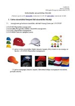 Paraugs 'Darba aizsardzība', 31.