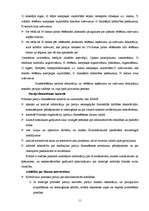 Referāts 'Partiju finansēšana', 11.