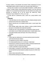 Referāts 'Partiju finansēšana', 13.