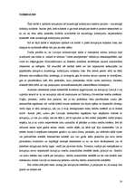 Referāts 'Korupcija', 18.