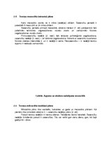 Konspekts 'Šaušanas nodarbību gada plāns', 20.