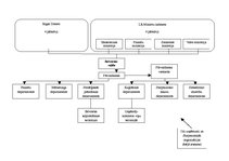 Referāts 'Vides komunikācijas pārvaldība Rīgas brīvostas pārvaldē', 3.