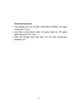 Referāts 'Alberta Bela romāna "Bezmiegs" analīze', 10.