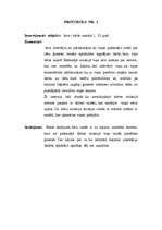 Referāts 'Intervija personības attīstības psiholoģijā', 5.