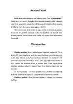 Referāts 'Hlors', 2.