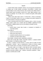 Referāts 'Latviešu buramvārdi', 3.