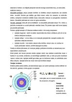 Referāts 'B.Ņūmenas teorijas analīze', 6.