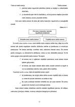 Referāts 'Tiesību normas', 12.