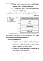 Referāts 'Tiesību normas', 21.