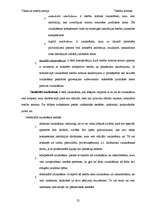 Referāts 'Tiesību normas', 25.