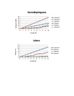 Paraugs 'Konstruktīvo būvmateriālu eksperimentālo pārbaužu laboratorijas darbs', 9.