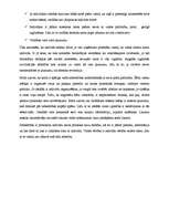 Referāts 'Negatīvās brīvības', 9.