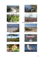 Referāts 'Slīteres Nacionālais parks', 21.