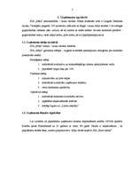 Referāts 'Uzņēmuma "Māja" analīze', 3.