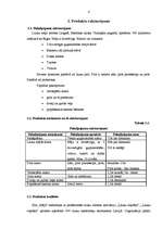 Referāts 'Uzņēmuma "Māja" analīze', 4.