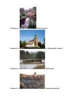 Referāts 'Tūrisms Vidzemes reģionā', 23.