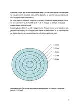 Referāts 'Kodolieroču izplatība pasaules valstīs', 13.