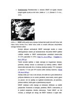 Referāts 'Magnētiskās rezonanses izmeklējumi un magnētiskās rezonanses holangiogrāfija', 8.