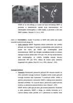 Referāts 'Magnētiskās rezonanses izmeklējumi un magnētiskās rezonanses holangiogrāfija', 9.