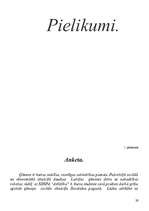 Prakses atskaite 'Valsts profesionālā prakse sociālajā darbā ar klientu mērķa grupu', 29.