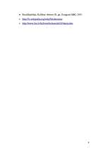 Referāts 'Frenks Loids Raits', 9.