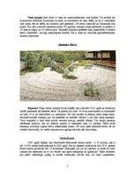 Konspekts 'Tūrisms Japānā', 3.