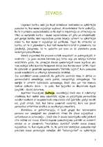 Referāts 'Bulīmija', 3.