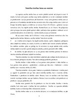 Referāts 'Saistību tiesību principi', 5.