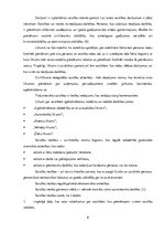 Referāts 'Saistību tiesību principi', 6.