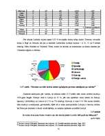 Diplomdarbs 'Projekts viesnīcu kompleksa "Martina" izveidošanai', 41.