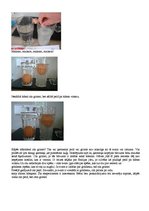 Konspekts 'Lietišķās dabas zinības. Eksperimenti', 4.