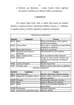 Referāts 'Rīgas Fondu birža', 17.