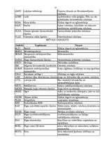 Referāts 'Rīgas Fondu birža', 18.